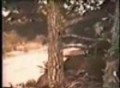 1966 Dodge Coronet Commercial