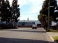 1984 Freightliner cabover 8v92 Detroit Diesel driveby