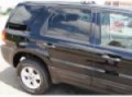 2006 Ford Escape at Gene Messer Ford Lincoln Mercury Mazda
