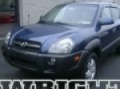 2006 HYUNDAI TUCSON Wexford, PA