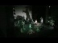 2010 06 18 El �rbol y la Liana