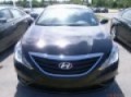 2011 HYUNDAI SONATA Lexington, KY