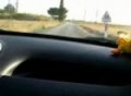 206 run interieur