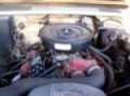 345 V-8 International Harvester Engine -Running