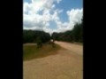 350 s-10 vs. Dodge SRT-10