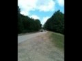 406 Camaro vs. Dodge SRT-10