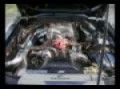 5.0 MUSTANG COMPILATION