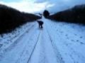 50 mph Sledging Behind Landrover