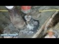 8 - 87 Subaru GEET Gasoline Vapor HHO - Still working on top part of bubblier