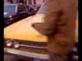 AMERICAN CLASSIC CAR - TACNA