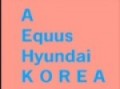 A EQUUS HYUNDAI KOREA