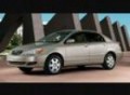 A Tribute To Toyota Corollas!