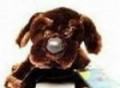 A tribute to webkinz dogs