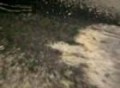Aftermath of 98 dodge ram burnout