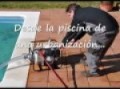 BOMBA CONTRAINCENDIOS para PICK-UP