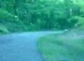 Bear Mountain Touge