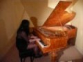Bechstein Art Alwyn 2, Themes Of Frederic Chopin