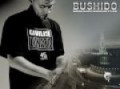 Bushdio feat Fler-Mit dem BMW
