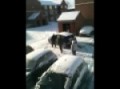 Car on ice