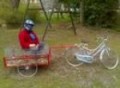 Carretto trainato dalla bicicletta della nonna