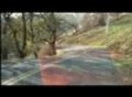 Cherokee Road in Mini Cooper S Oroville CA Downhill