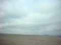 DSCN5113.MOV