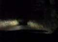 Dirt Road