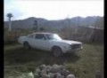 Dodge SuperBee 1979