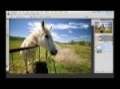 Dodging & Burning in Photoshop