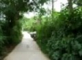 En moto por Hue, Vietnam