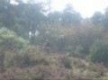 Endureando el ajusco