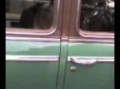 Exposicion de autos en Parque Rivadavia