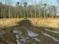 FUN MUD RUN