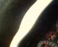 Fiat uno turbo 450 CV stradale-video2-  www.area51racing.it