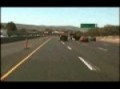 Final Destination