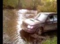 Forester ? ????