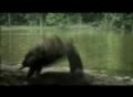 Funny commercial Ad Car Peugeot - 207SW