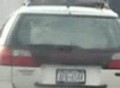 Goat in the back of a Subaru on 87