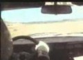 Group B rally car Peugeot 205 T16
