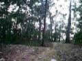 Hill climb.AVI