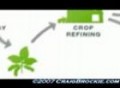How to Make MILLION$ in Biodiesel! Turnkey Business Revealed