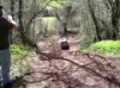 Land  Cruiser Scary Moment