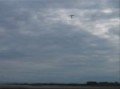 Learning to Hang Glide on Southport Beach, Lancashire, England