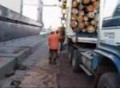 Logging Trucks loading ships