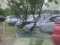 Mazda 626 Club Deutschland Sendenhorst 6 Treffen