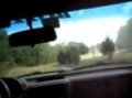 Mazda Rx-7 spins at smoke and mirrors rallycross