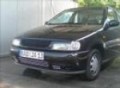Mein Polo