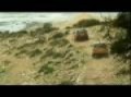 Motorweek Video of the 2008 Land Rover LR2