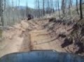 Offroading Metberry Gulch Colorado Land Rover
