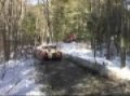 Part 1 Water Hole Meet And Greet Winter 2009